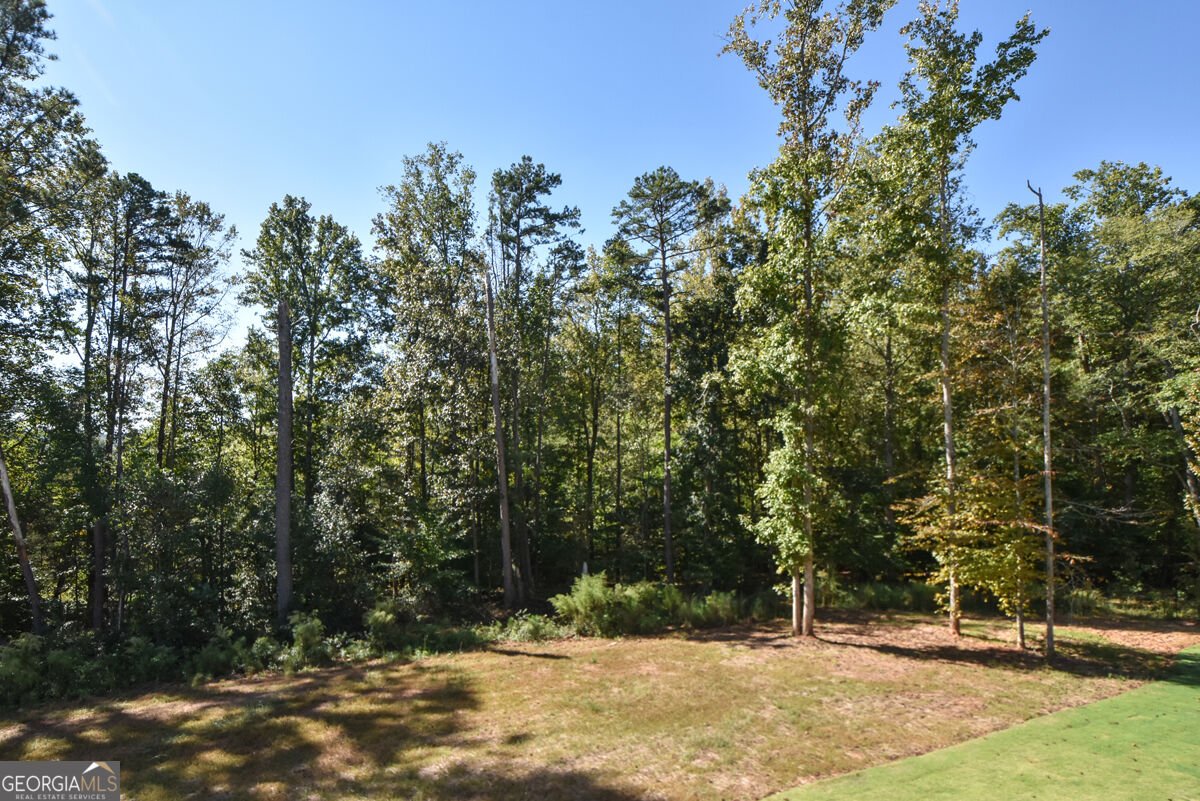 8255 CROOKED CREEK Drive Cumming - Photo 58