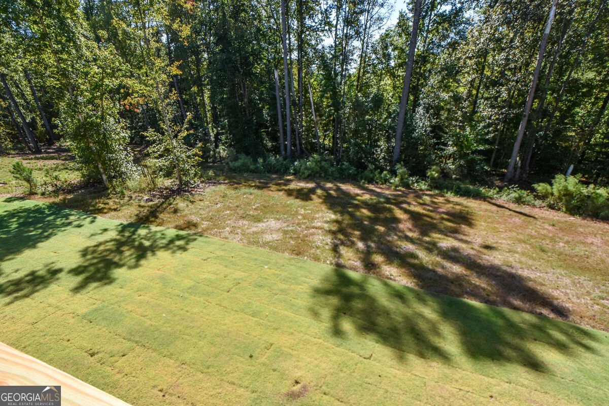 8255 CROOKED CREEK Drive Cumming - Photo 59