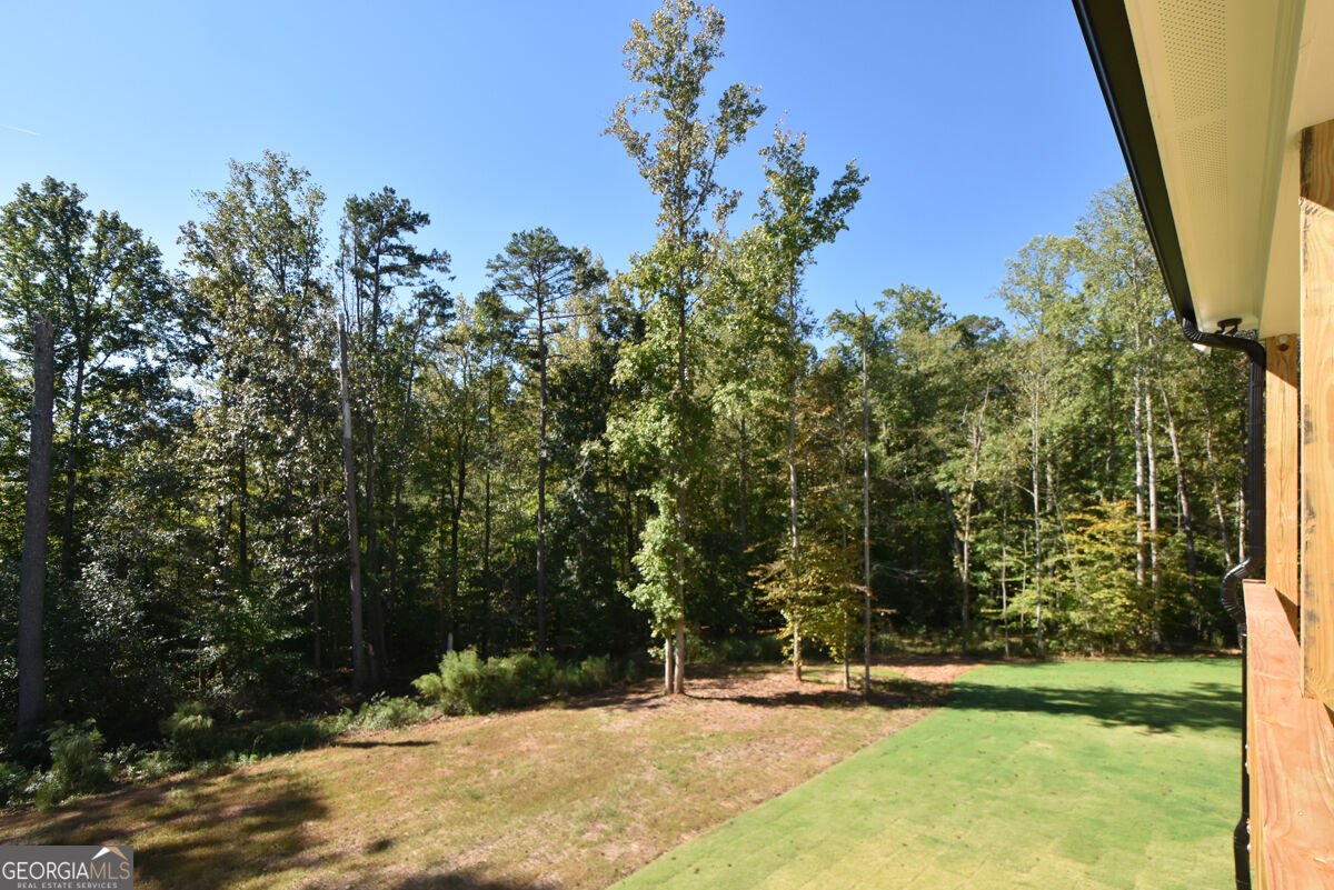 8255 CROOKED CREEK Drive Cumming - Photo 60