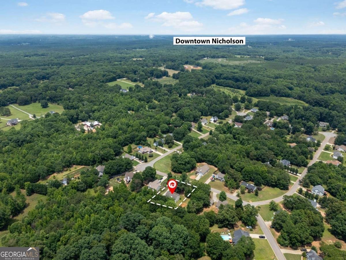 223 Sawdust Trail Nicholson - Photo 38