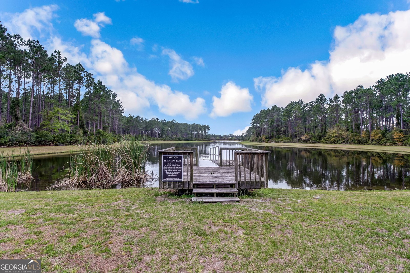 105 Spartina Court St. Marys - Photo 30