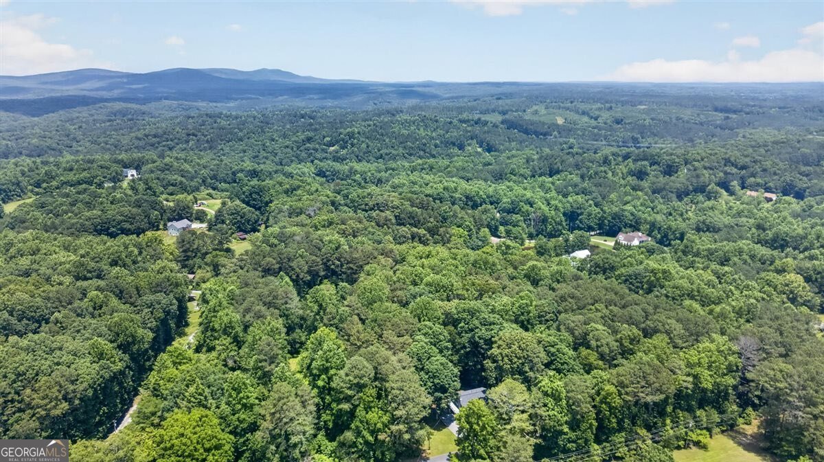837 Puckett Road Waleska - Photo 57