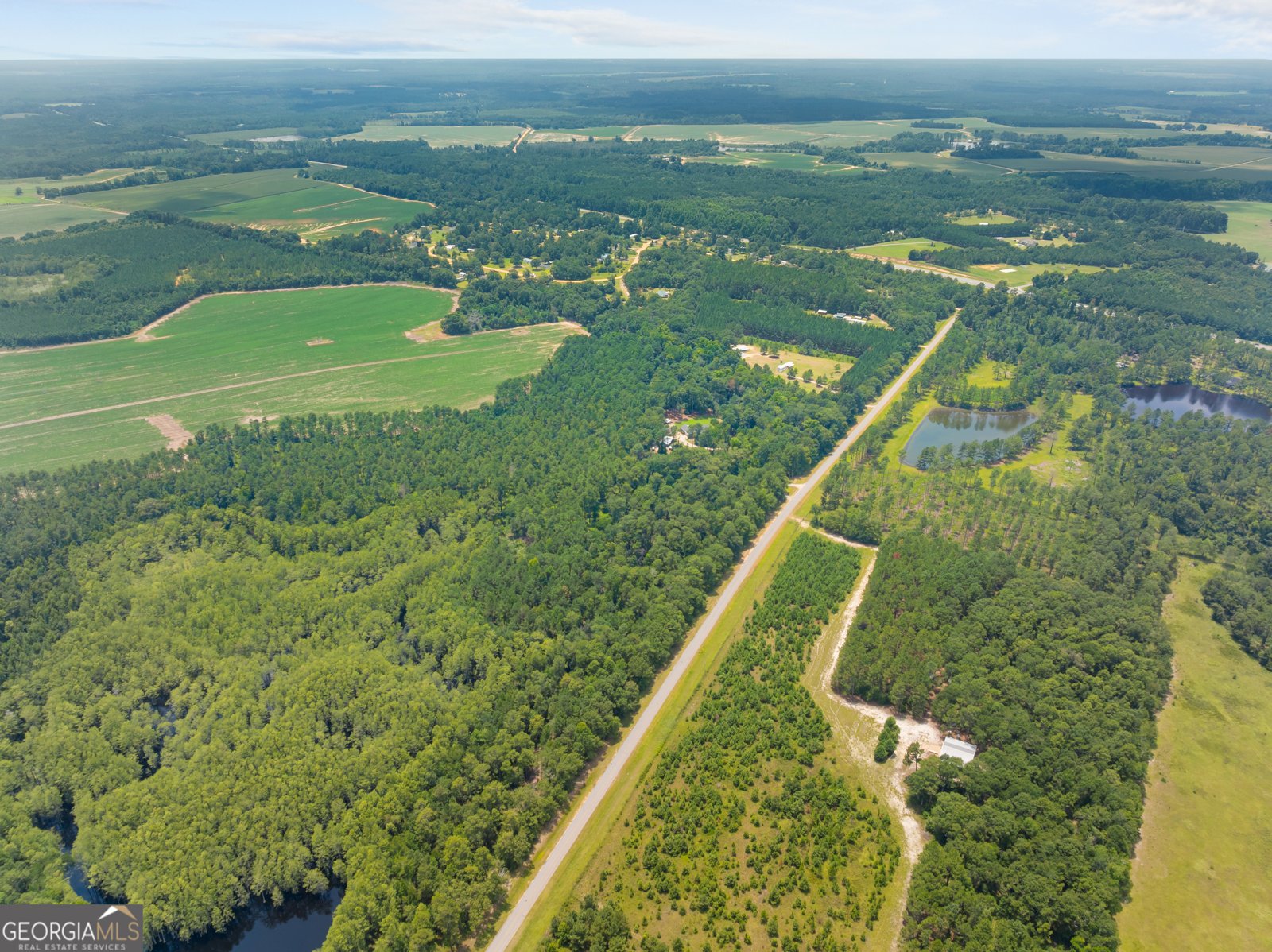 480 Best Bridge Road Sylvania - Photo 46