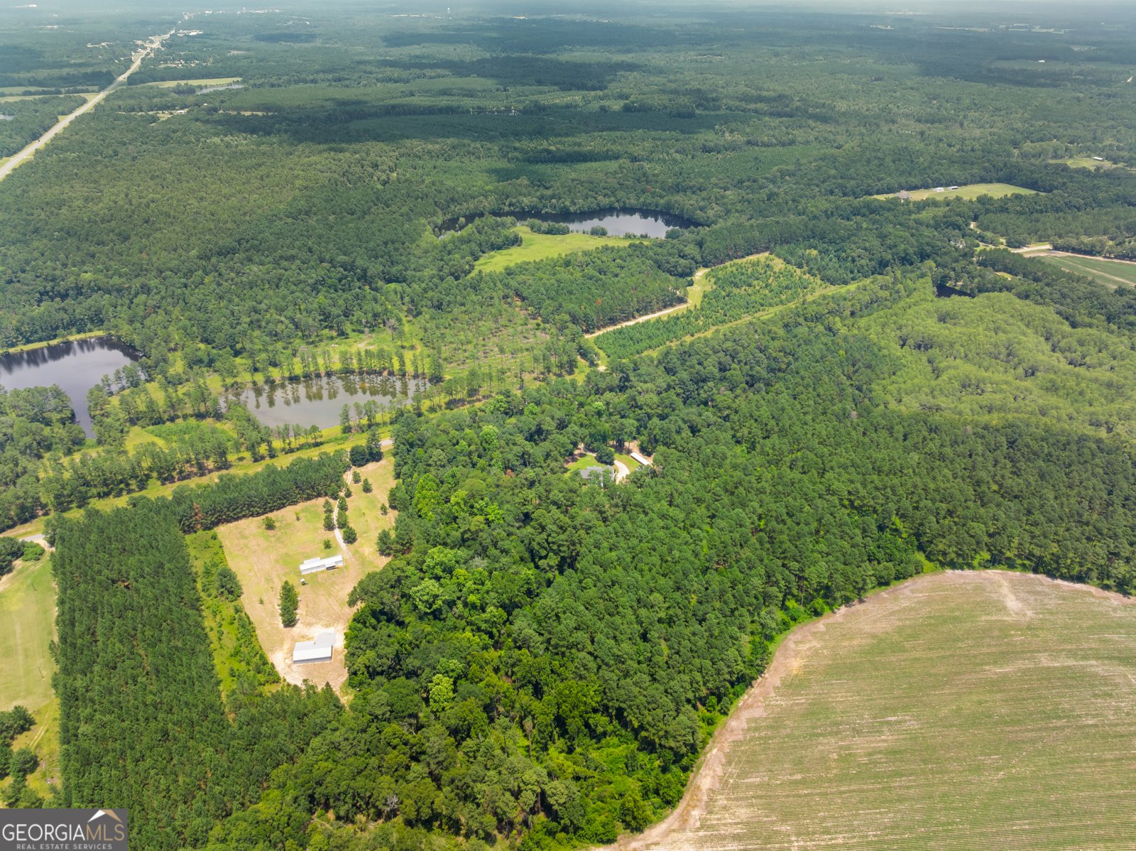 480 Best Bridge Road Sylvania - Photo 47