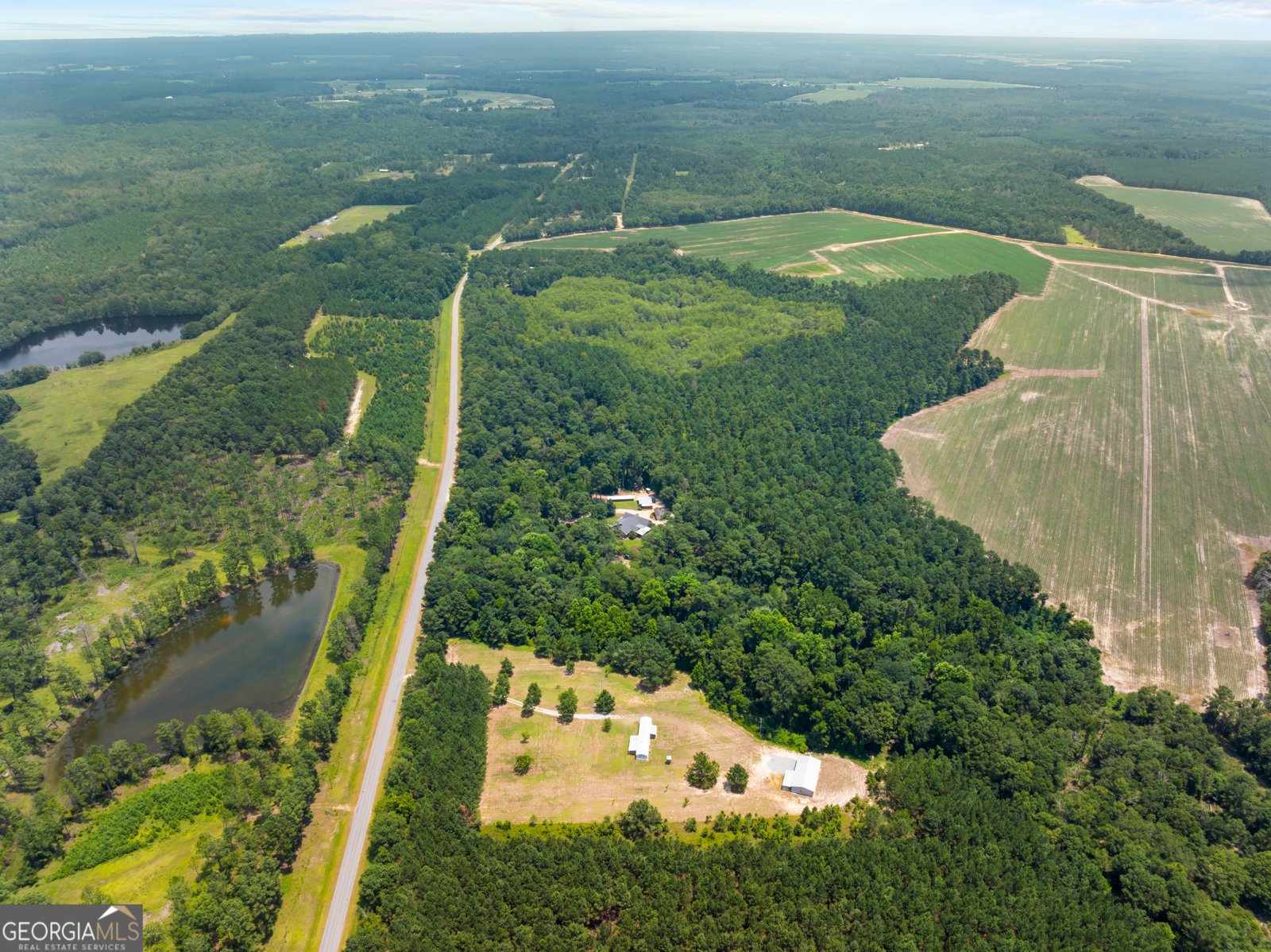480 Best Bridge Road Sylvania - Photo 48