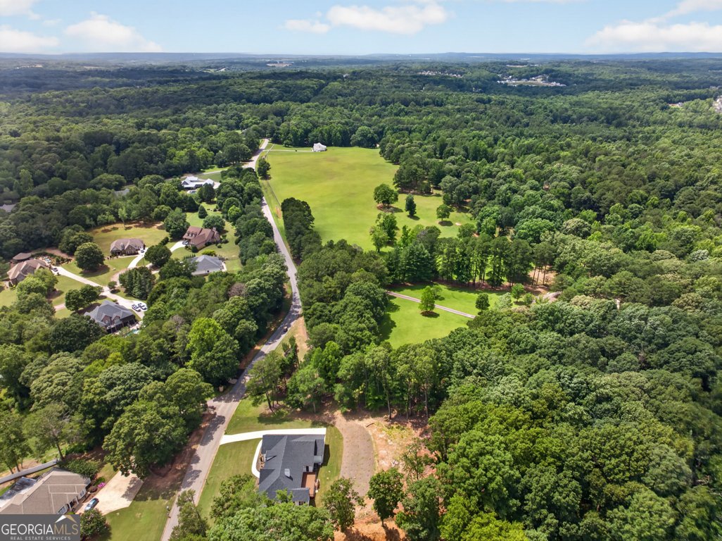 505 Old Collins Road Hoschton - Photo 58