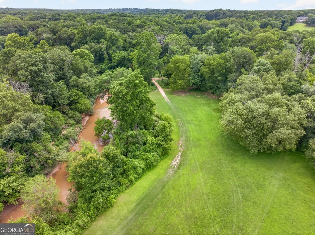 505 Old Collins Road Hoschton - Photo 60