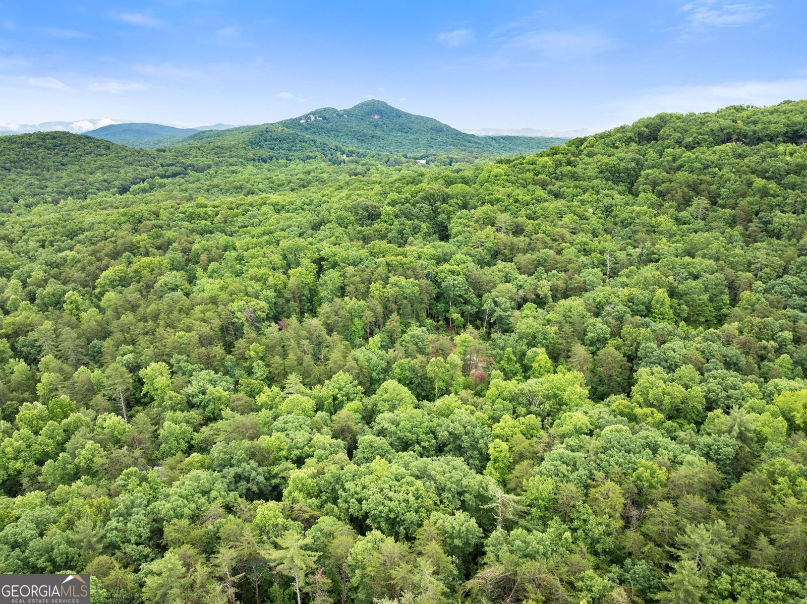 1130 Alpine Drive Sautee Nacoochee - Photo 43