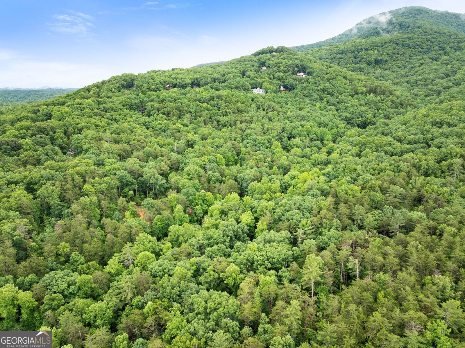 1130 Alpine Drive Sautee Nacoochee - Photo 44