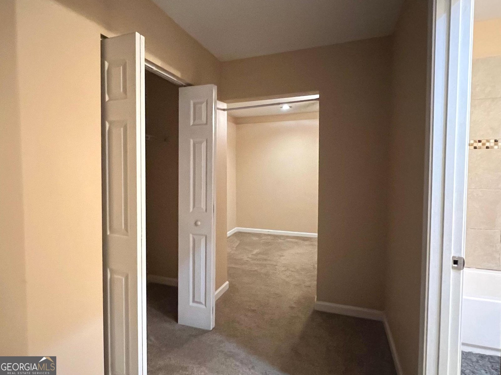 3600 Chestnut Meadows Drive Douglasville - Photo 27