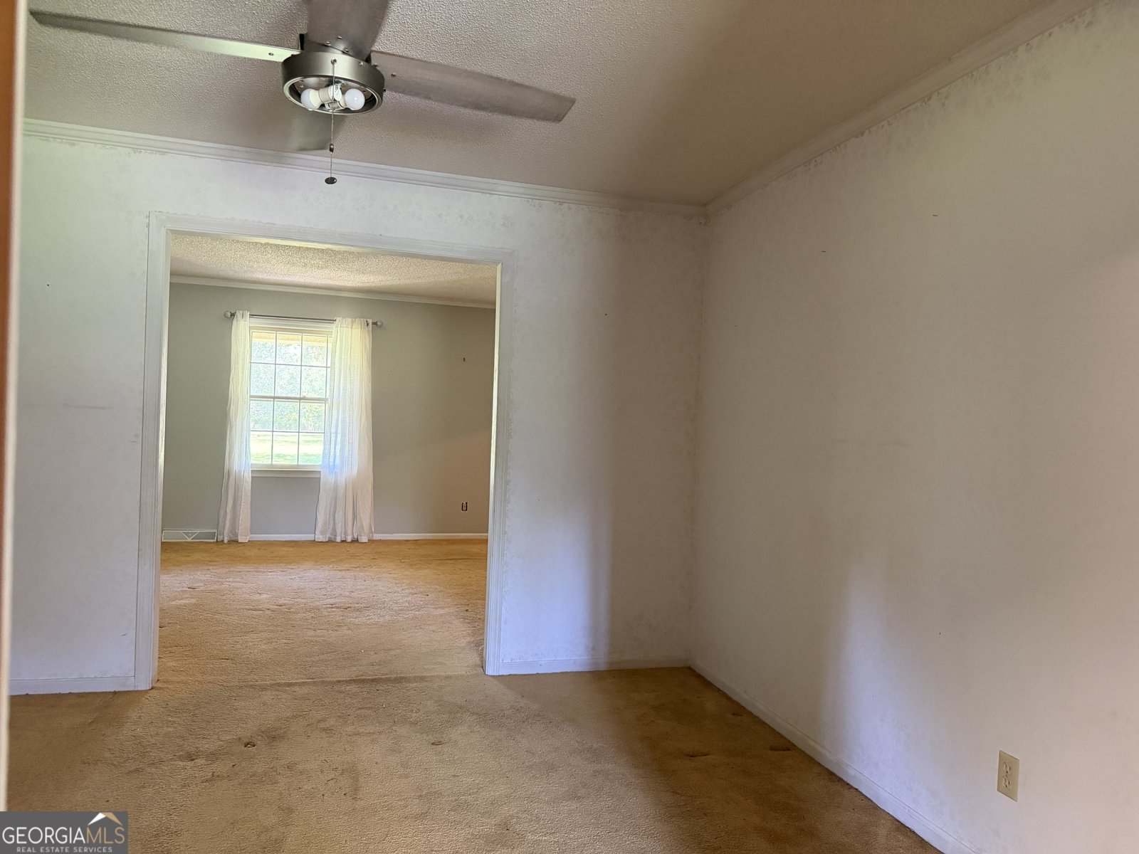 257 Lonnie Burke Road Portal - Photo 11