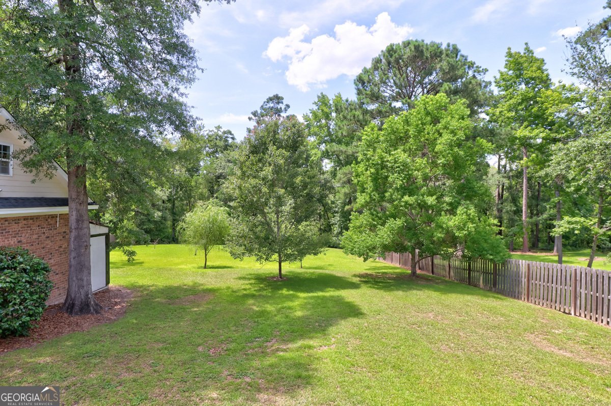113 Red Bluff Circle Rincon - Photo 47