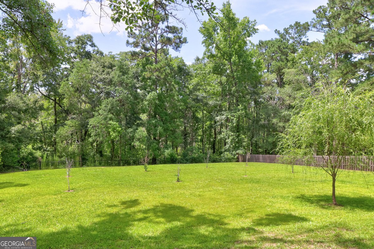 113 Red Bluff Circle Rincon - Photo 49
