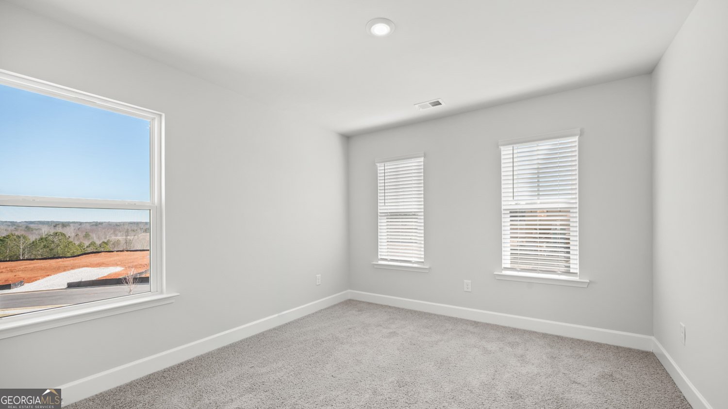 532 Olson Lane Locust Grove - Photo 17