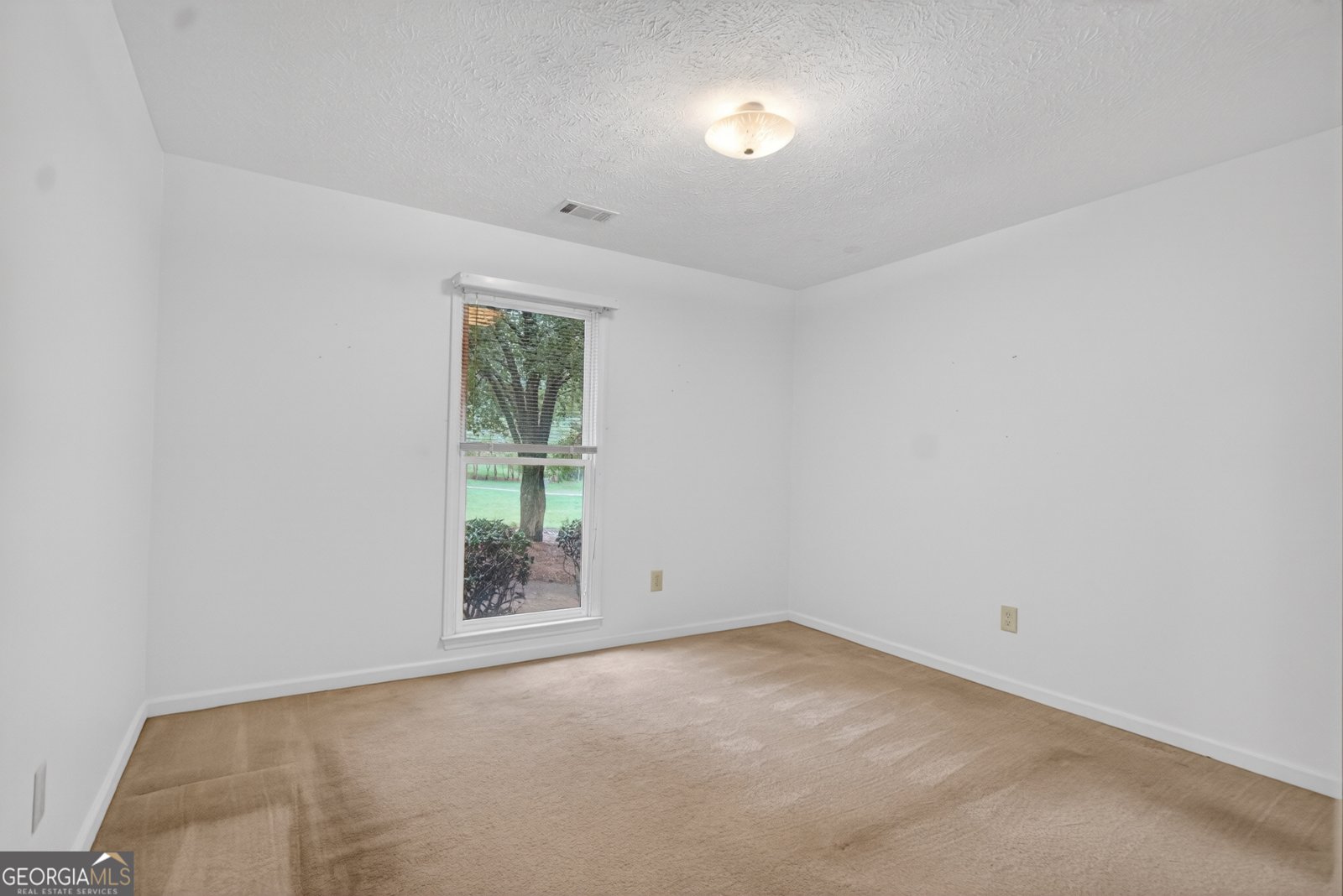 113 Evans Court Lagrange - Photo 19