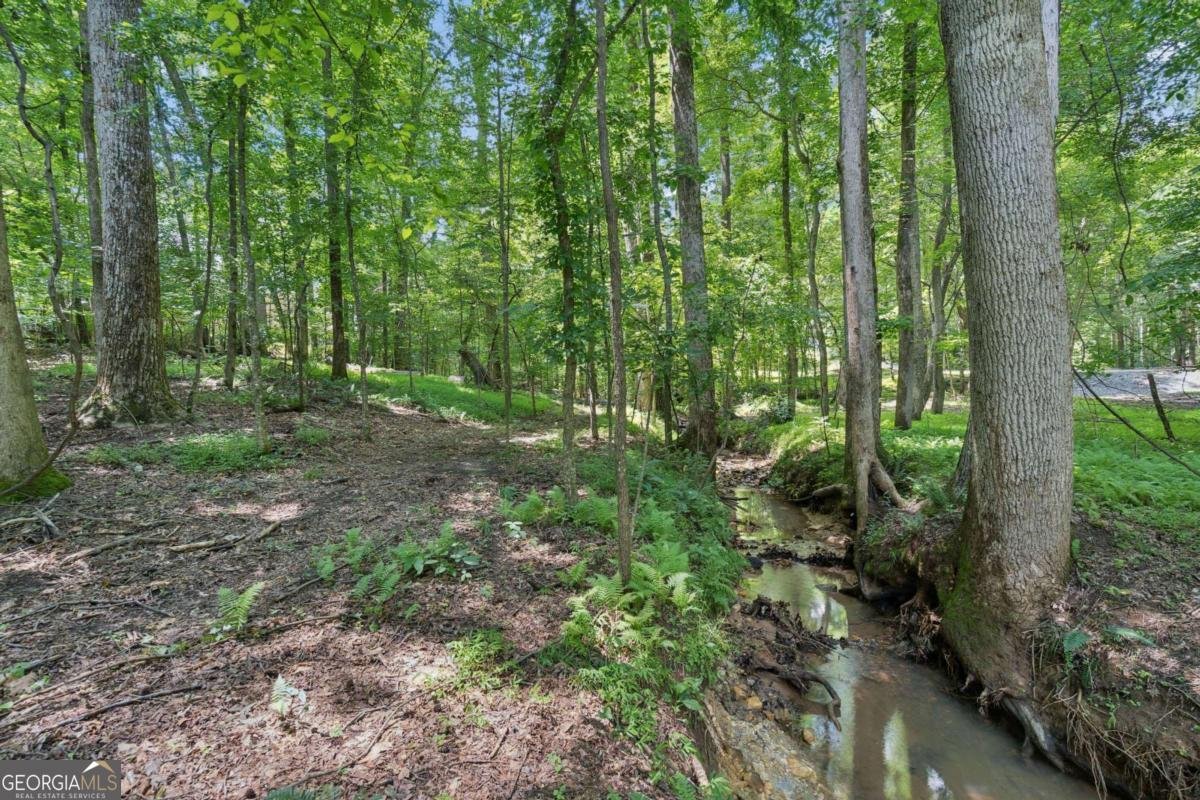 5145 Dorset Lane Suwanee - Photo 38