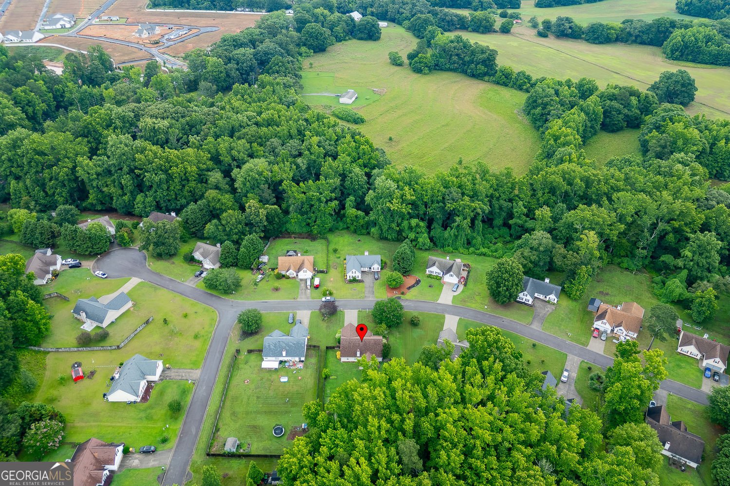 387 Joshua Way Hoschton - Photo 43