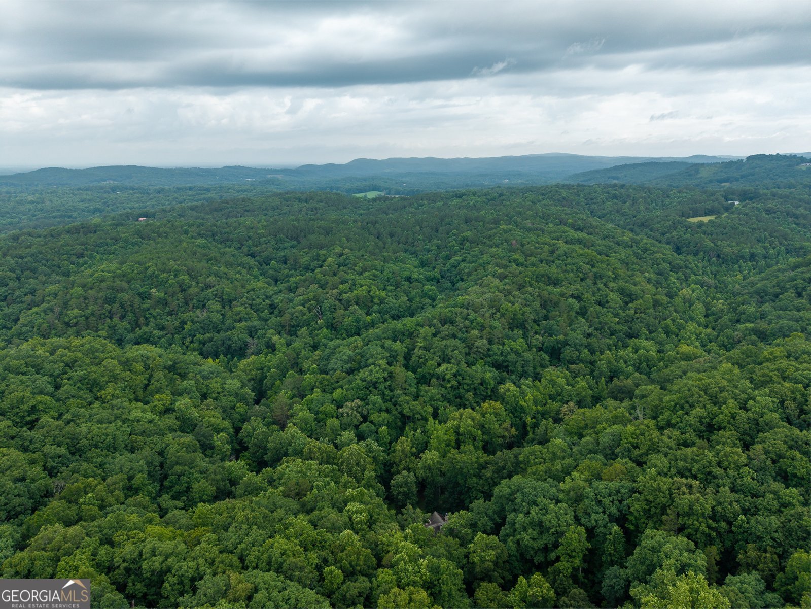 1117 Rambling Road Fairmount - Photo 23