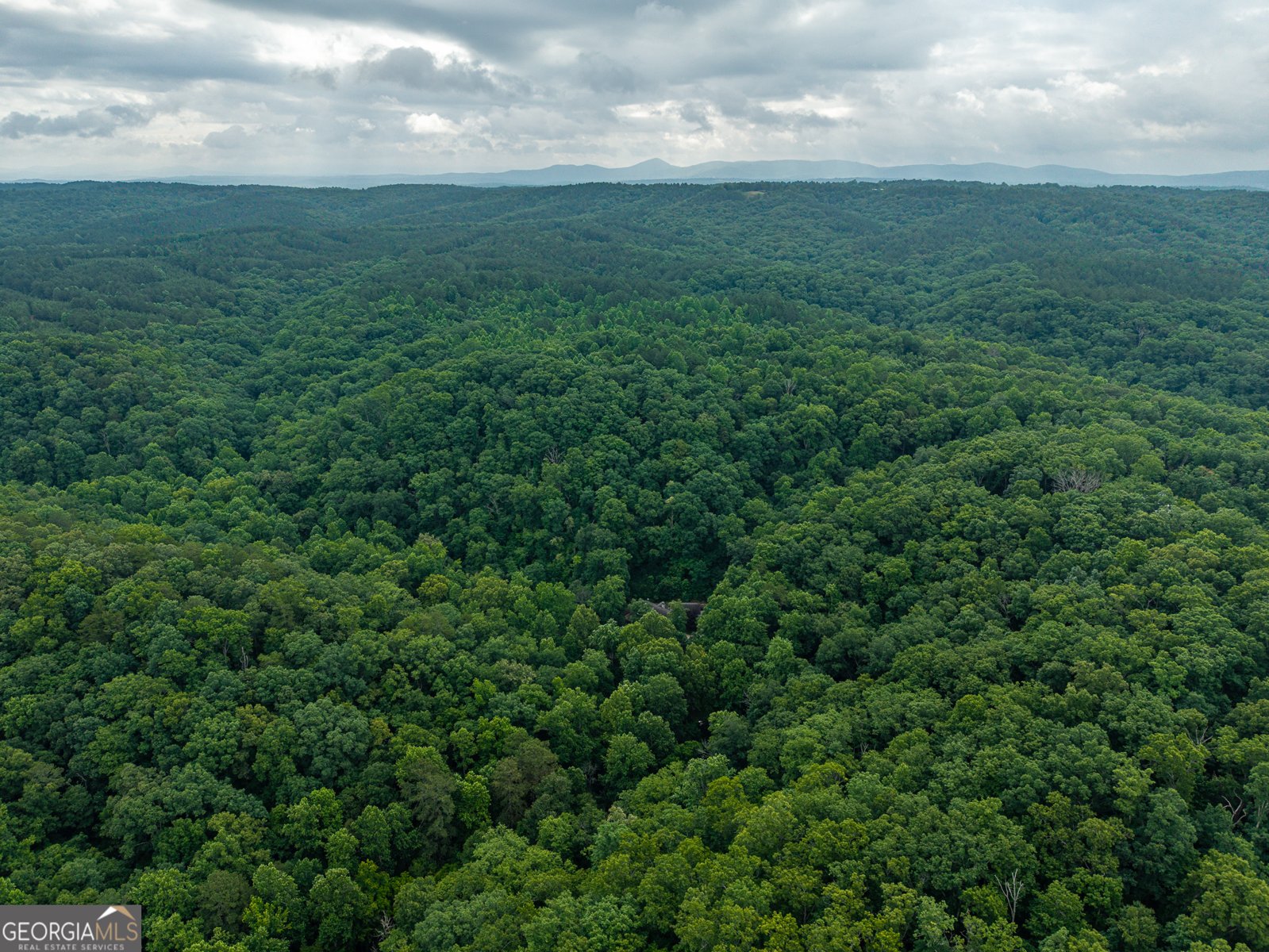 1117 Rambling Road Fairmount - Photo 30