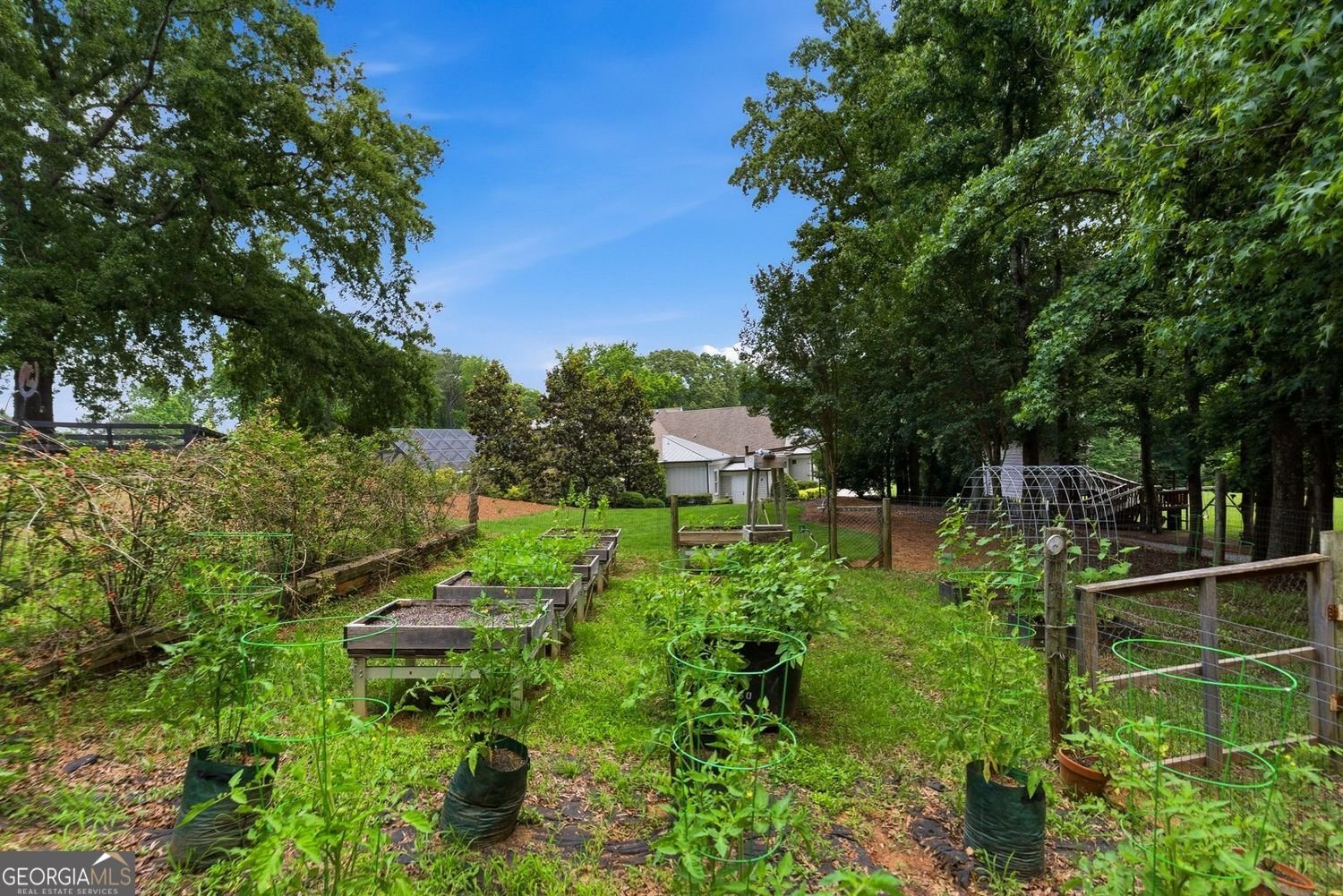 5135 Howard Road Cumming - Photo 158
