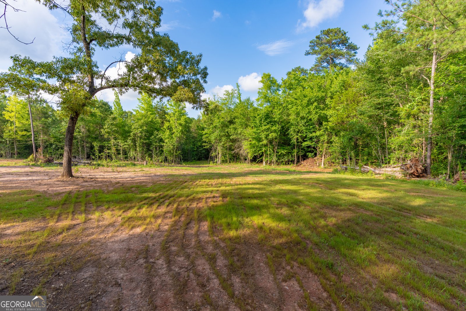 54 Davis Carter Road Monticello - Photo 22