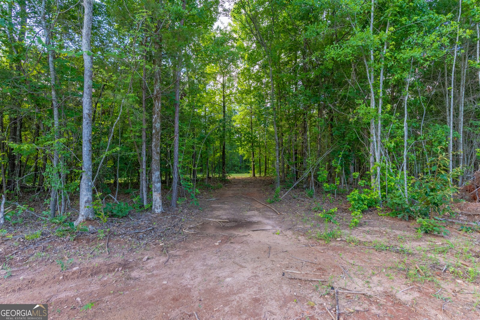 54 Davis Carter Road Monticello - Photo 38