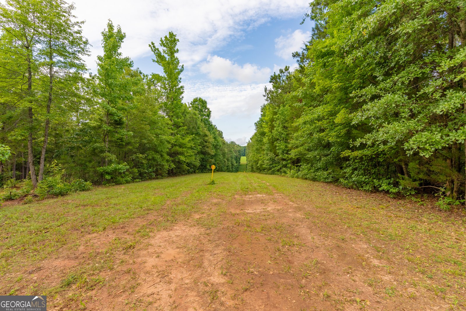 54 Davis Carter Road Monticello - Photo 39