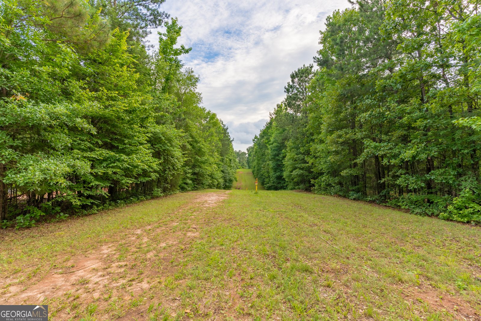 54 Davis Carter Road Monticello - Photo 40