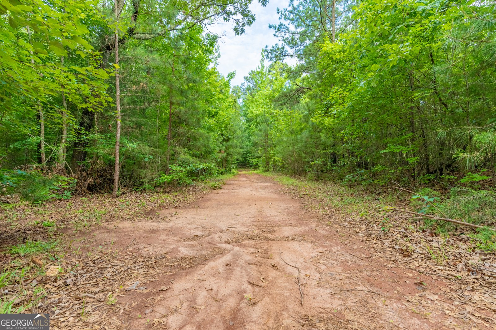 54 Davis Carter Road Monticello - Photo 41