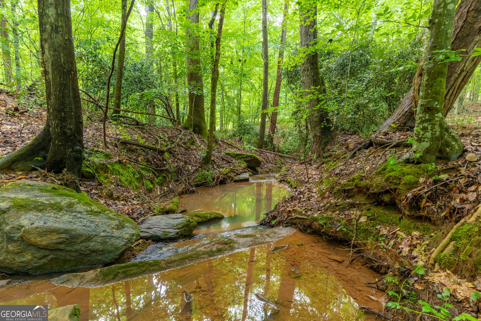 54 Davis Carter Road Monticello - Photo 50