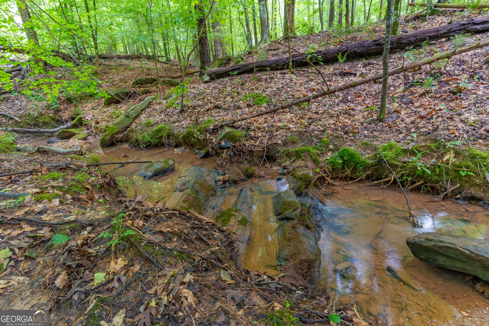 54 Davis Carter Road Monticello - Photo 51