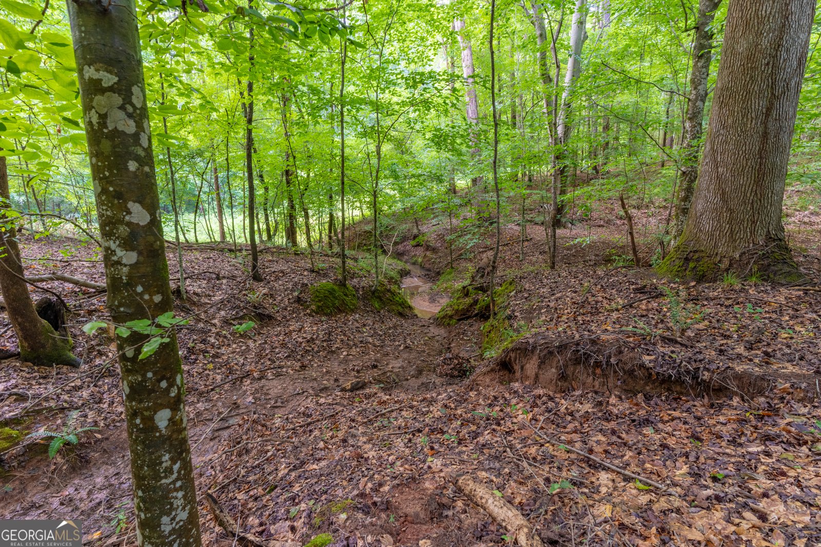 54 Davis Carter Road Monticello - Photo 54