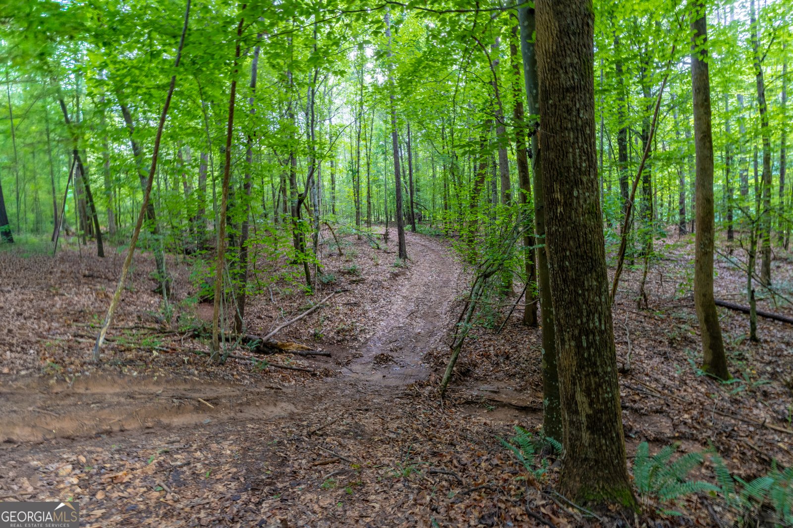 54 Davis Carter Road Monticello - Photo 56