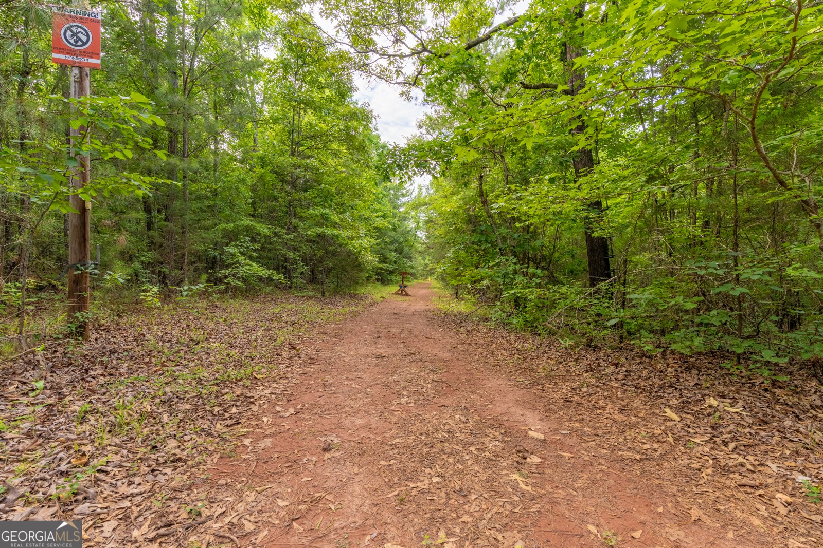 54 Davis Carter Road Monticello - Photo 57