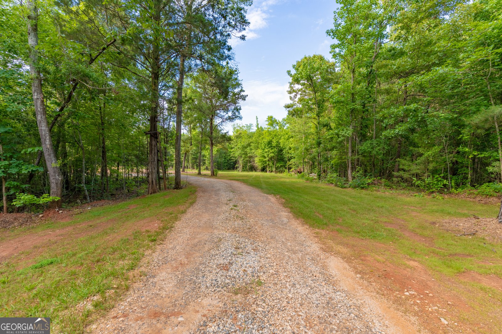 54 Davis Carter Road Monticello - Photo 6