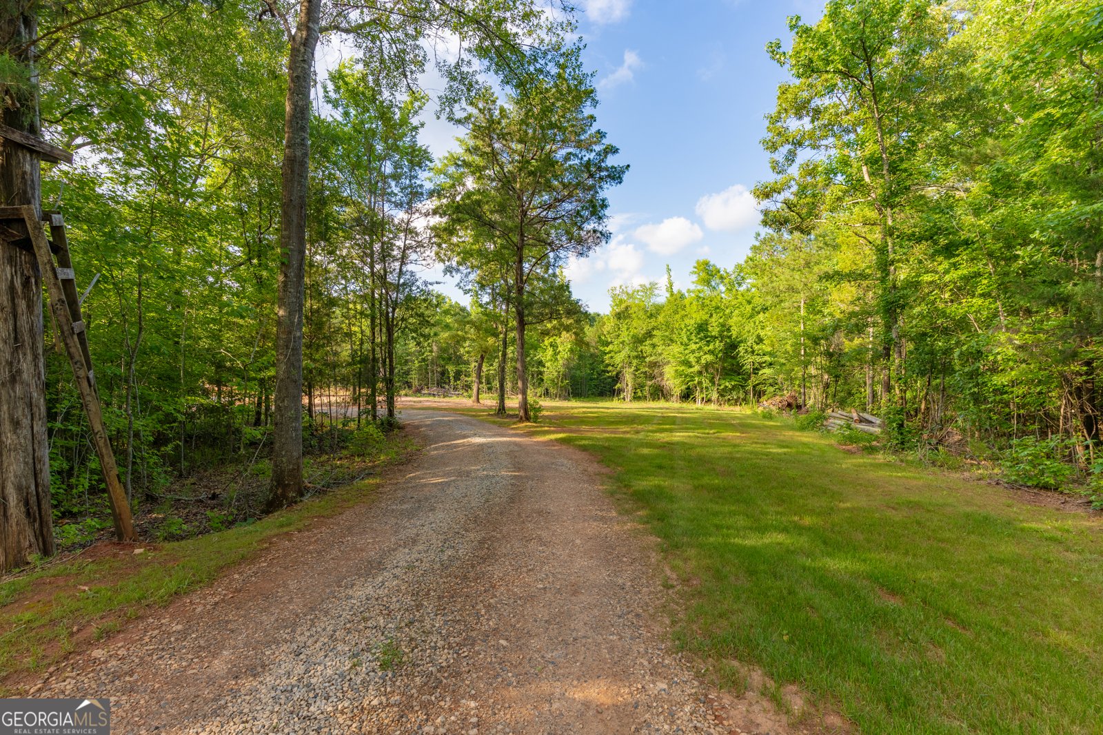 54 Davis Carter Road Monticello - Photo 7