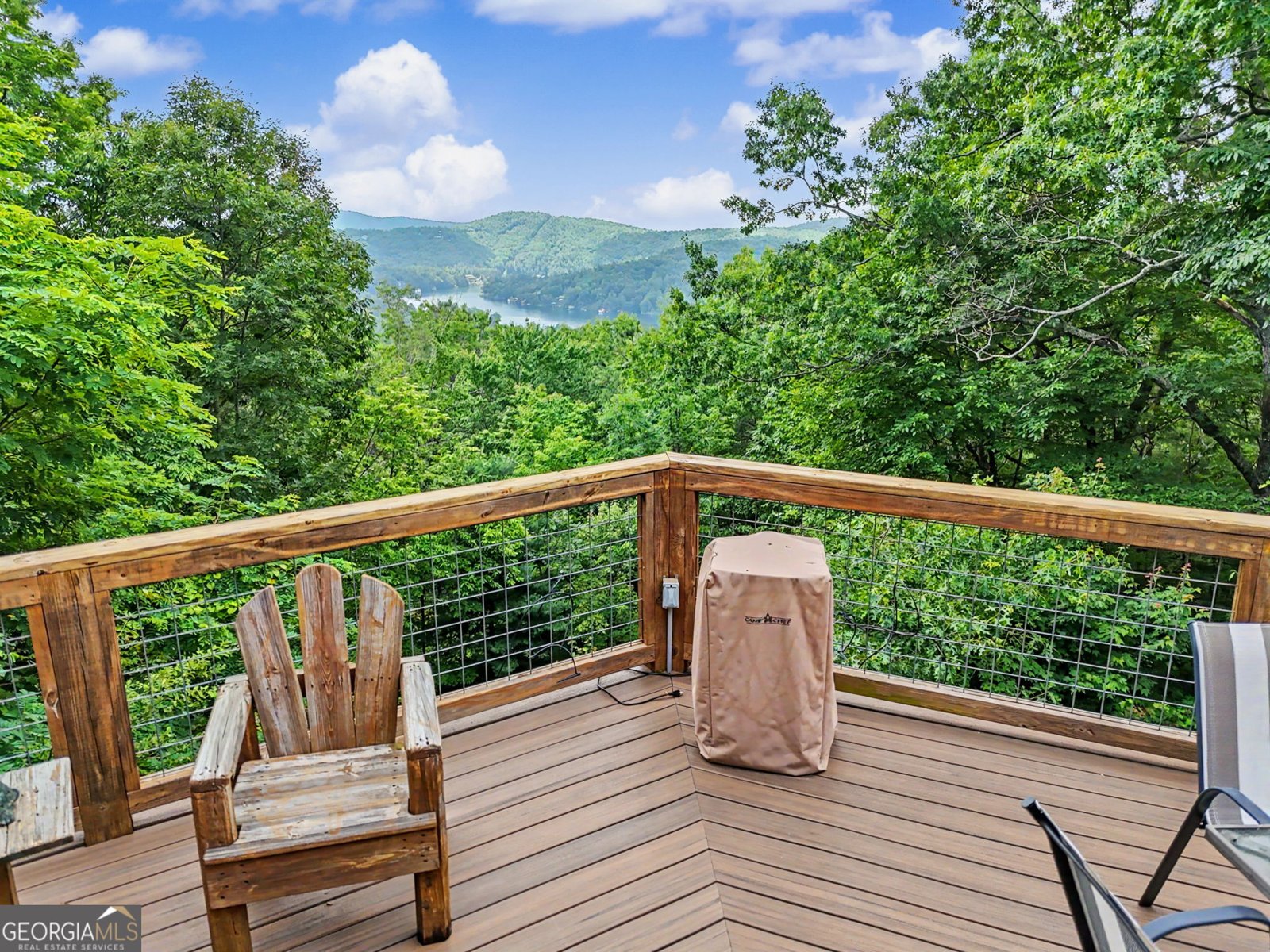 1039 Arbor Drive Lakemont - Photo 34