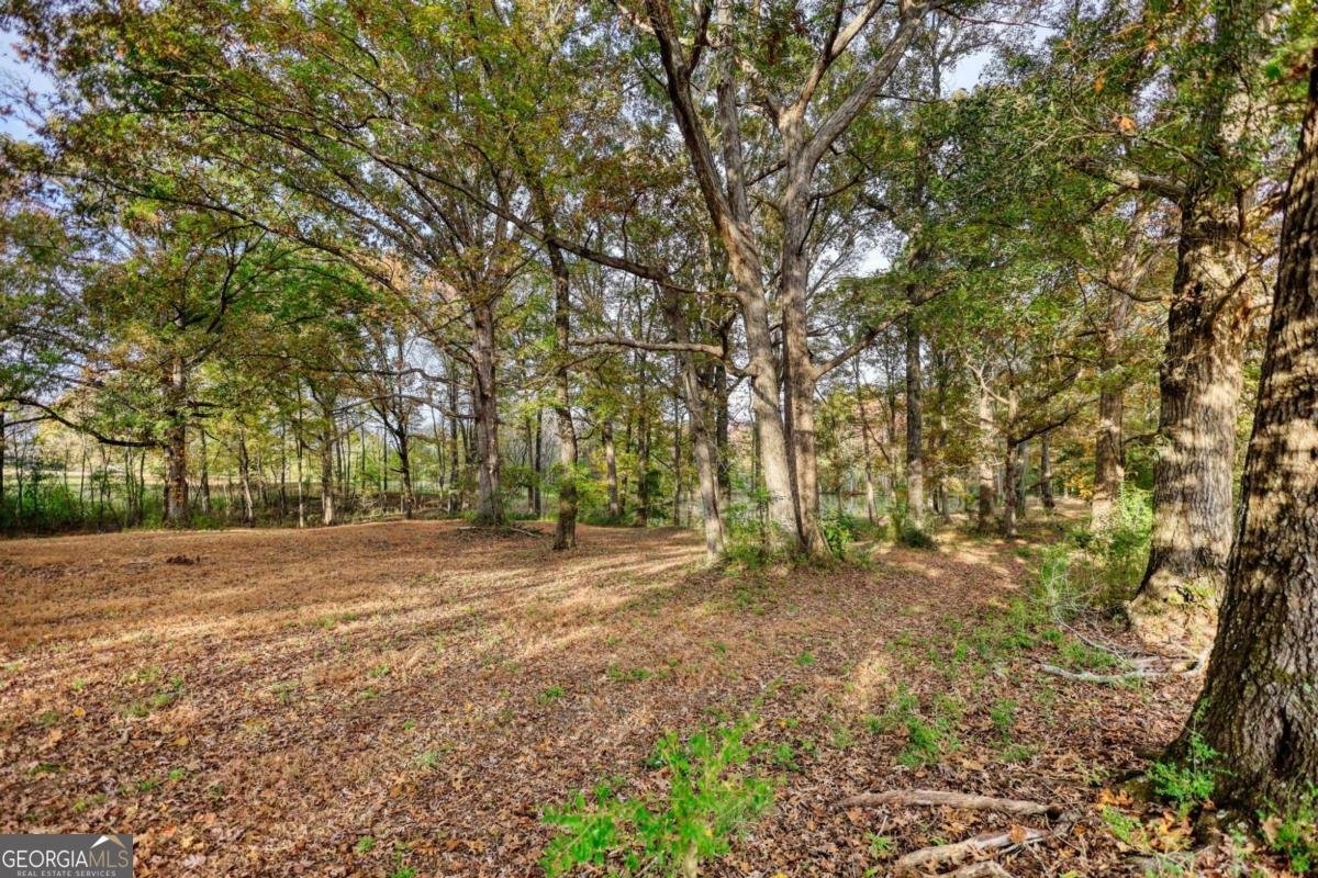 131 Upchurch Drive Mcdonough - Photo 61