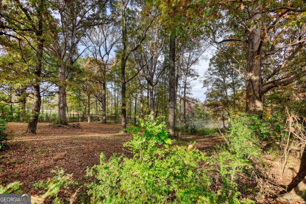131 Upchurch Drive Mcdonough - Photo 63