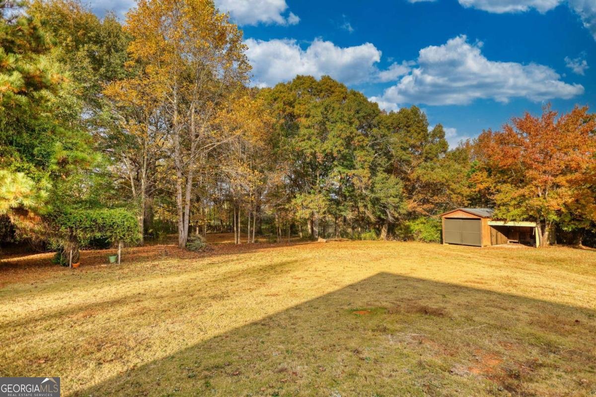 131 Upchurch Drive Mcdonough - Photo 65