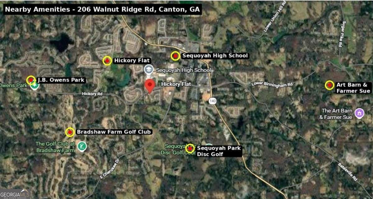 206 Walnut Ridge Road Canton - Photo 50