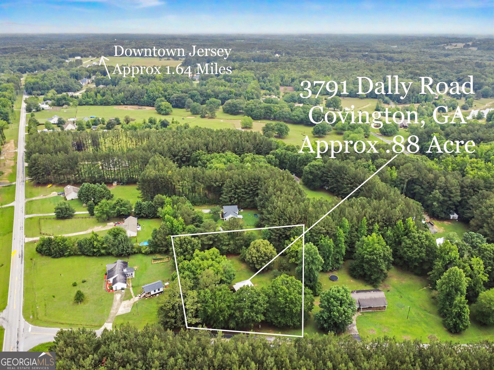 3791 Dally Road Covington - Photo 76