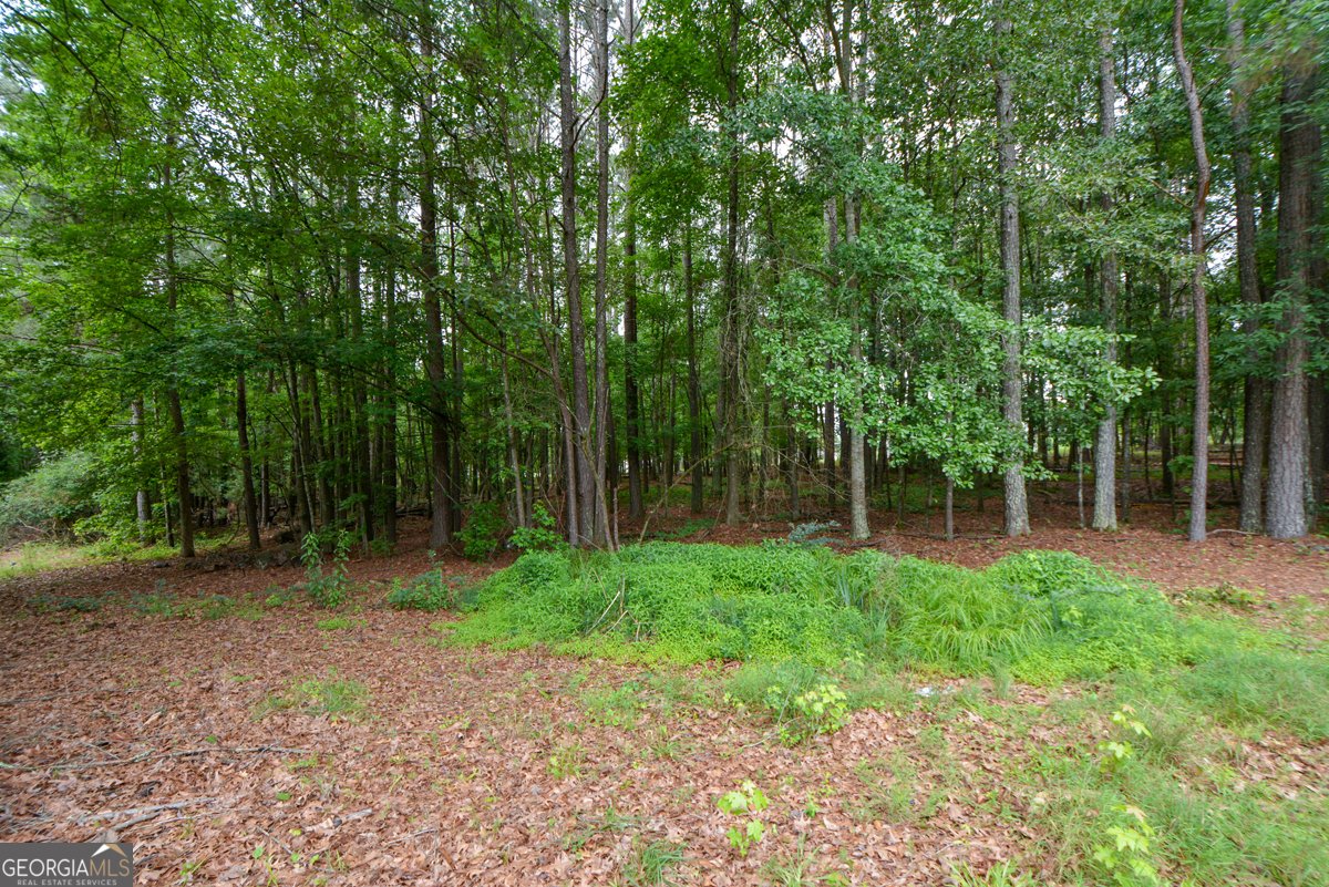 819 Bethany Road McDonough - Photo 29