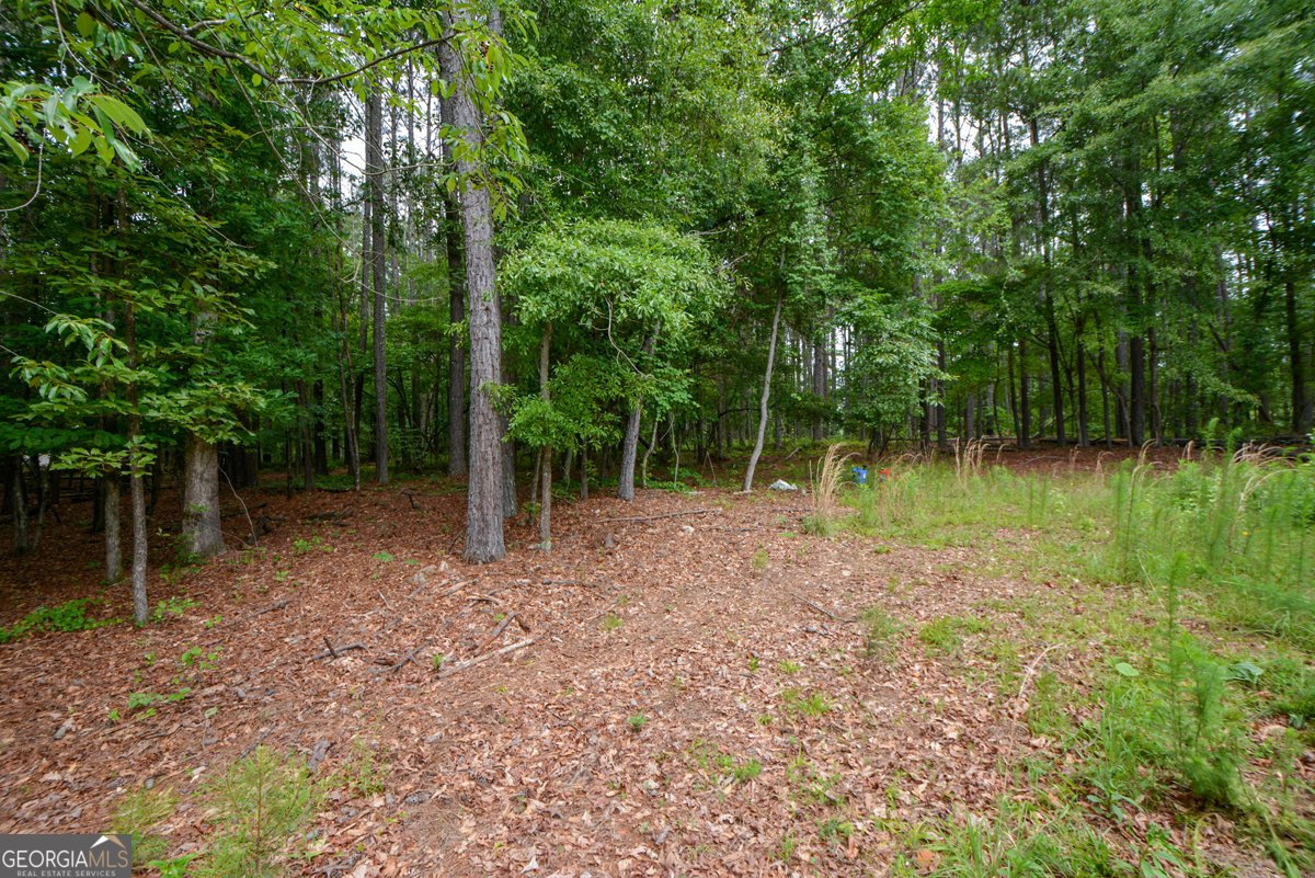 819 Bethany Road McDonough - Photo 30