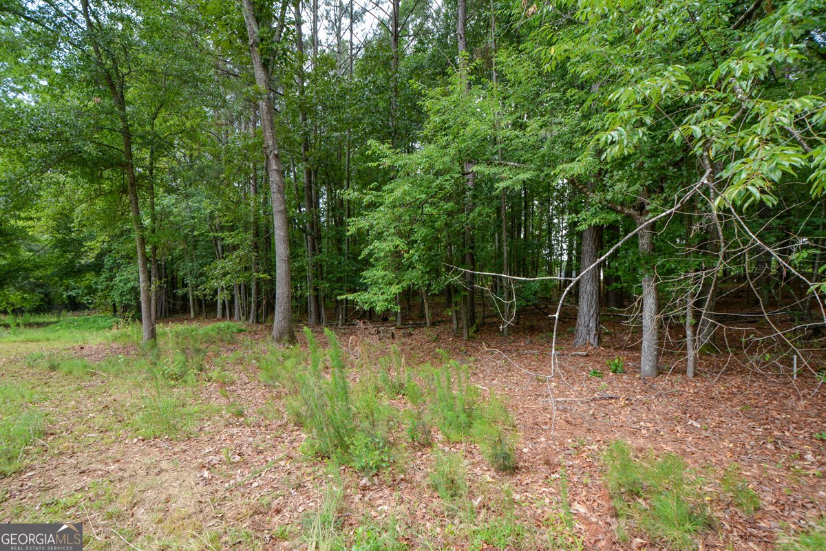 819 Bethany Road McDonough - Photo 31
