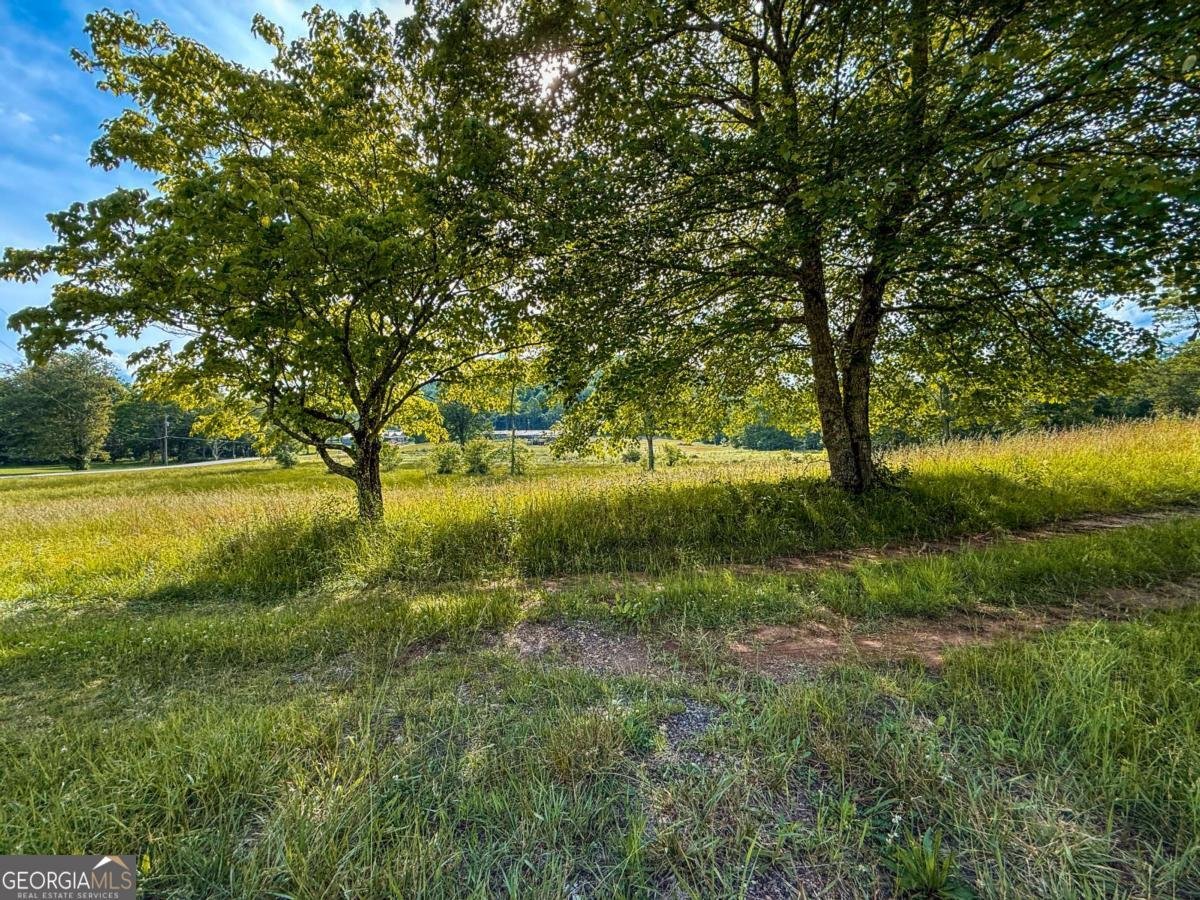 239 Glen Elliott Road Suches - Photo 6