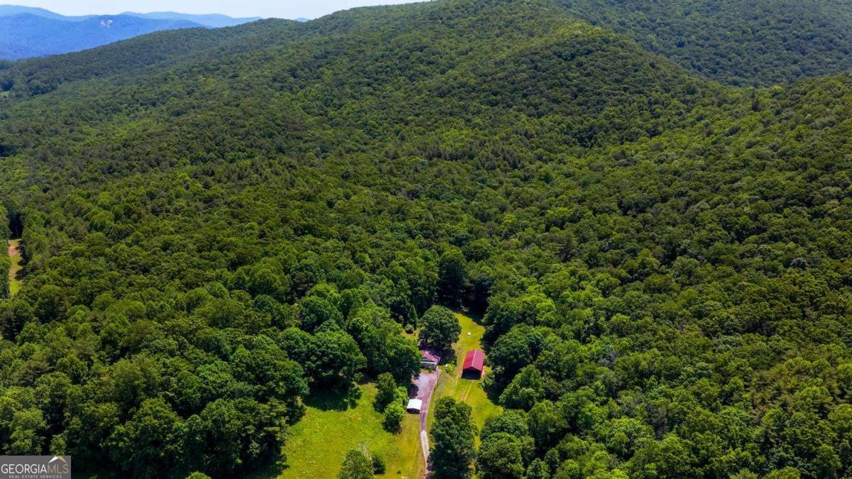 239 Glen Elliott Road Suches - Photo 9