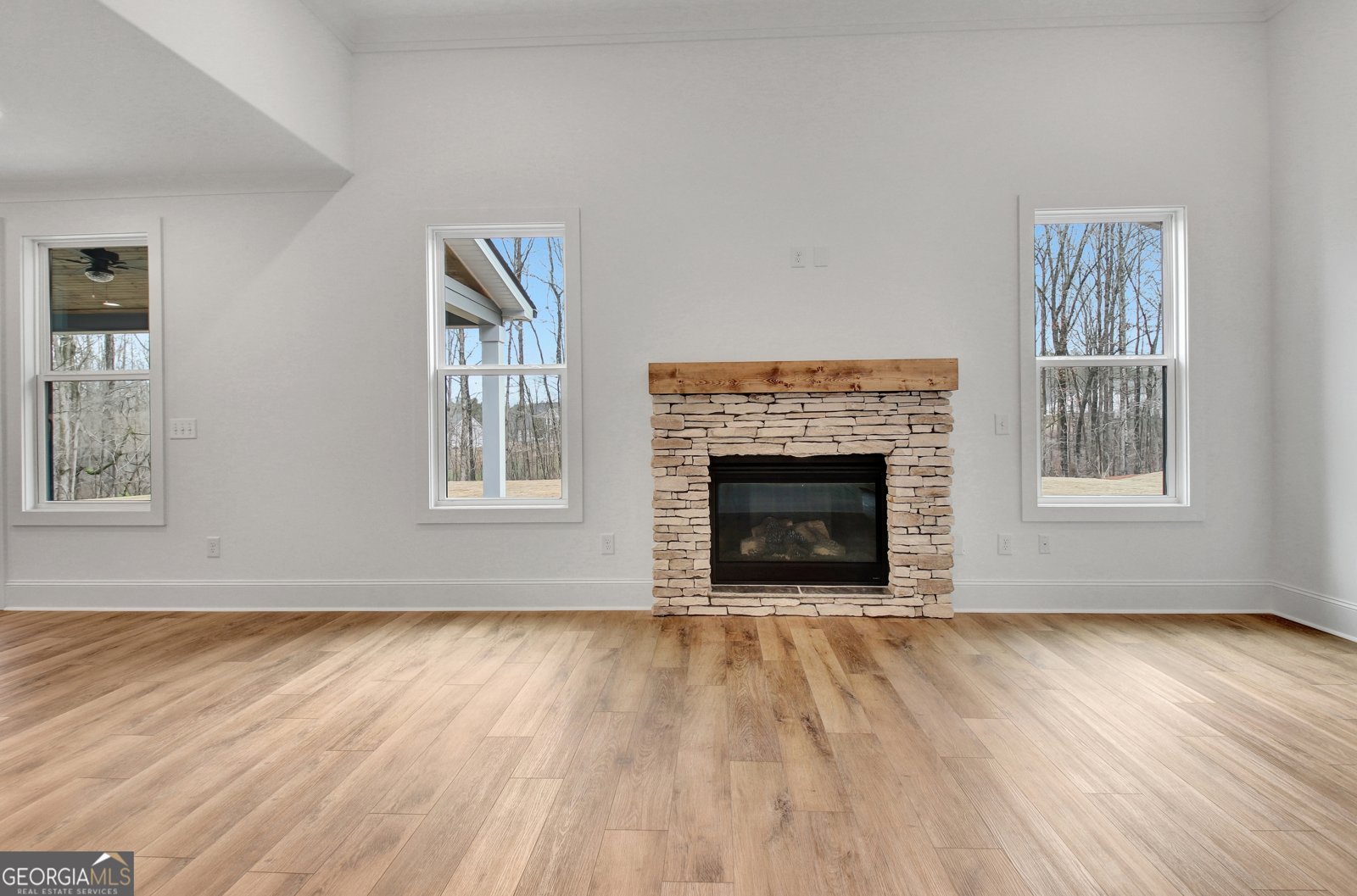 157 Ryeland Drive Senoia - Photo 14