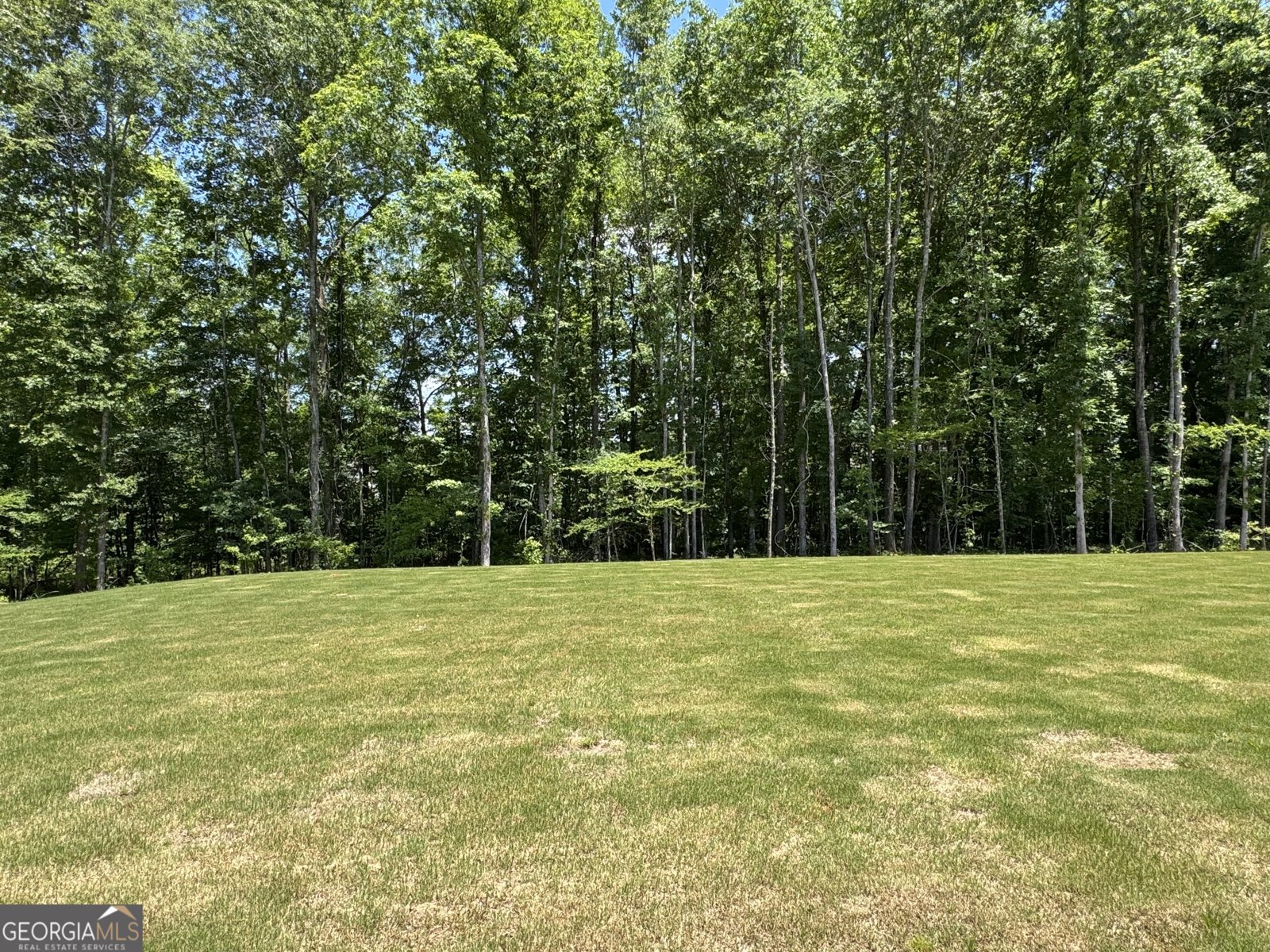 157 Ryeland Drive Senoia - Photo 66