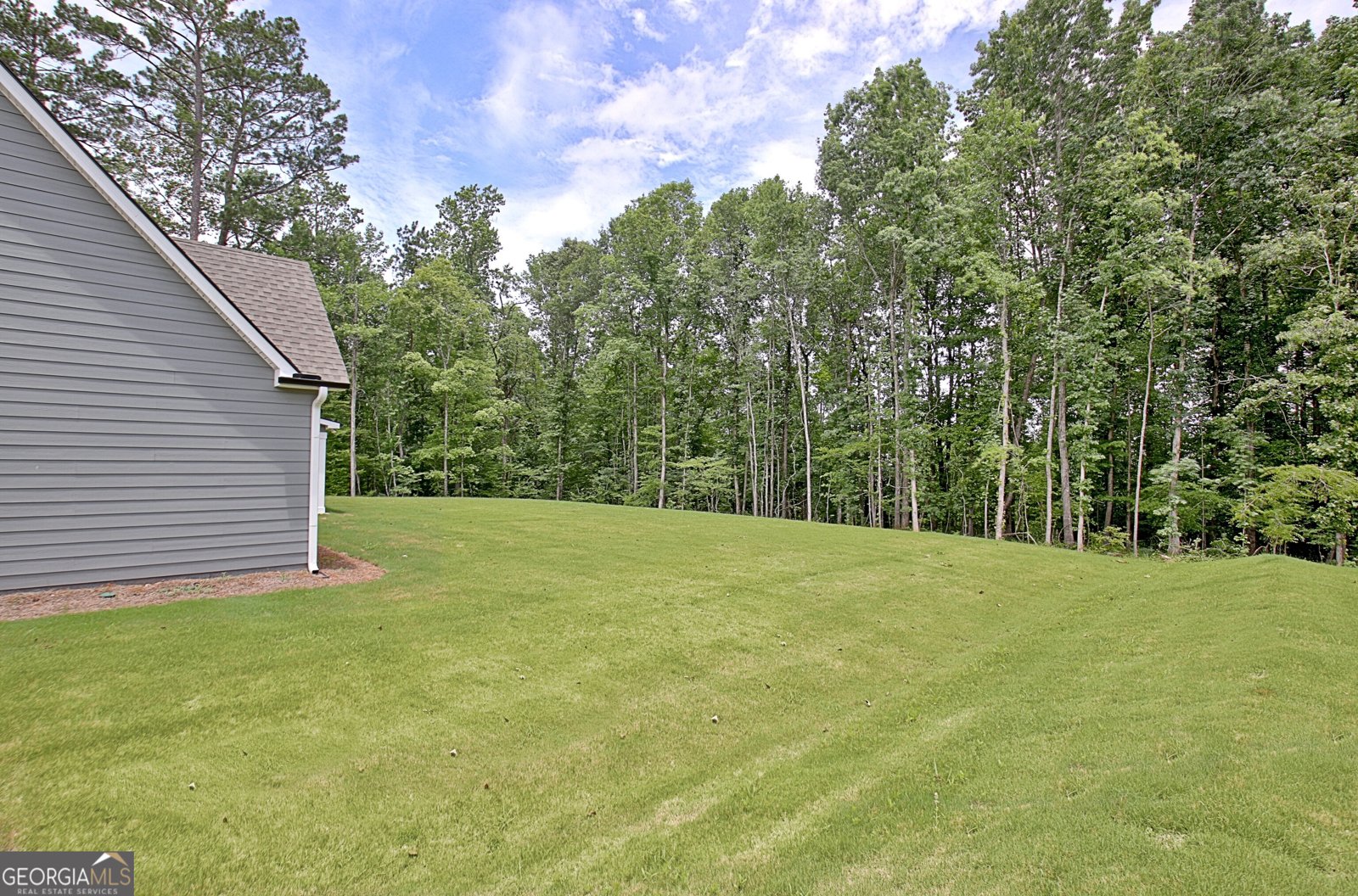 157 Ryeland Drive Senoia - Photo 78